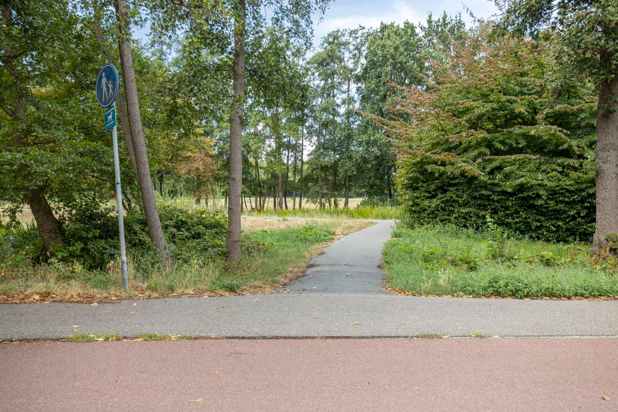 Photo 27 of Smaragdhorst 439