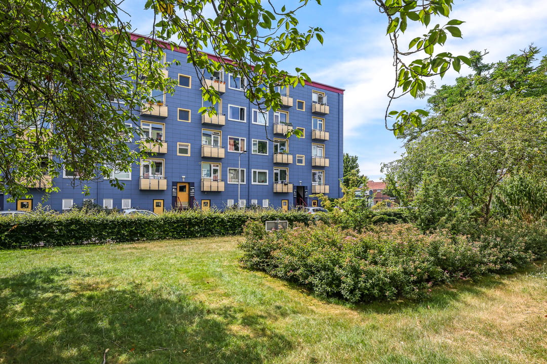 Photo 37 of Wijnbesstraat 79