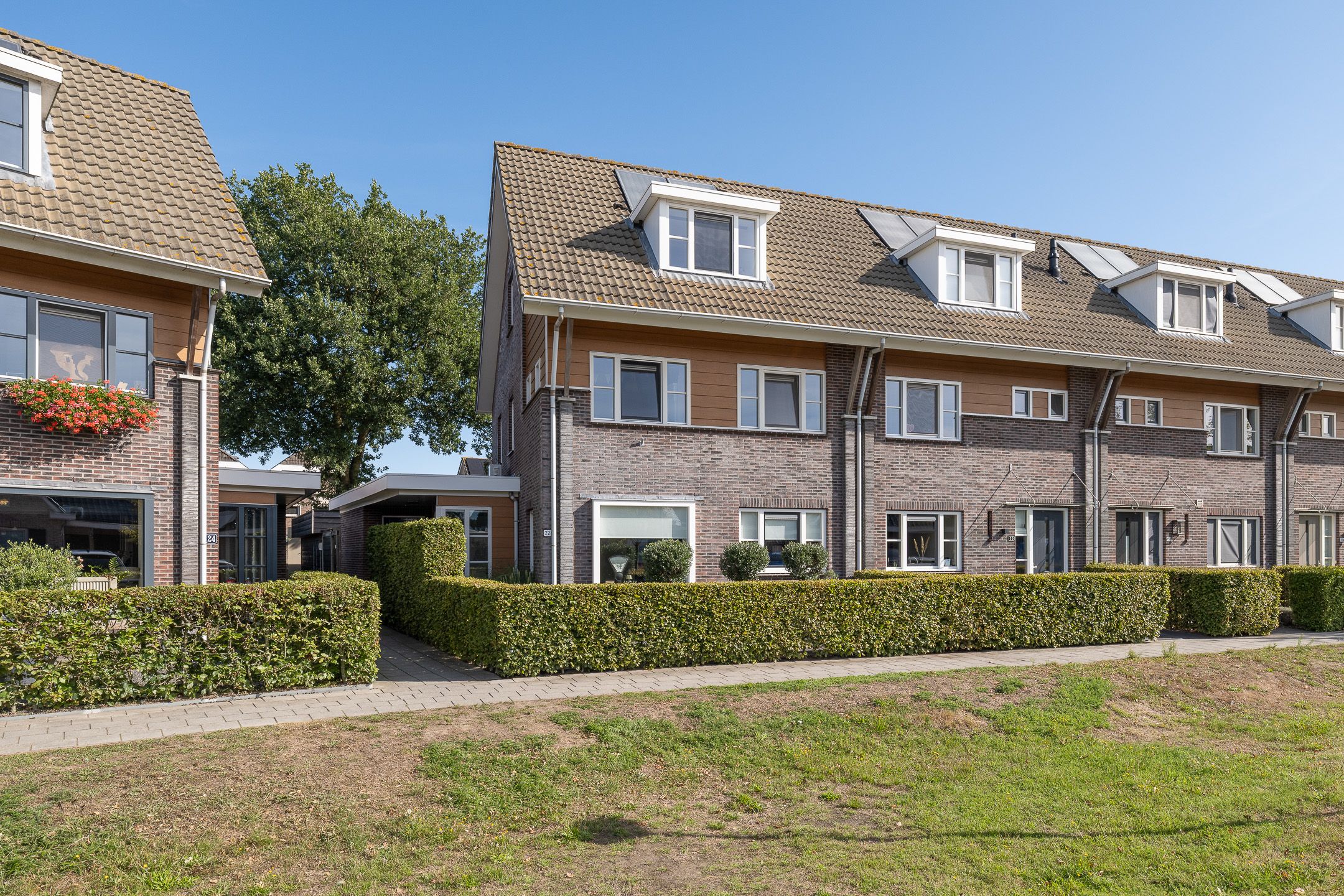 Blauwgras 22
