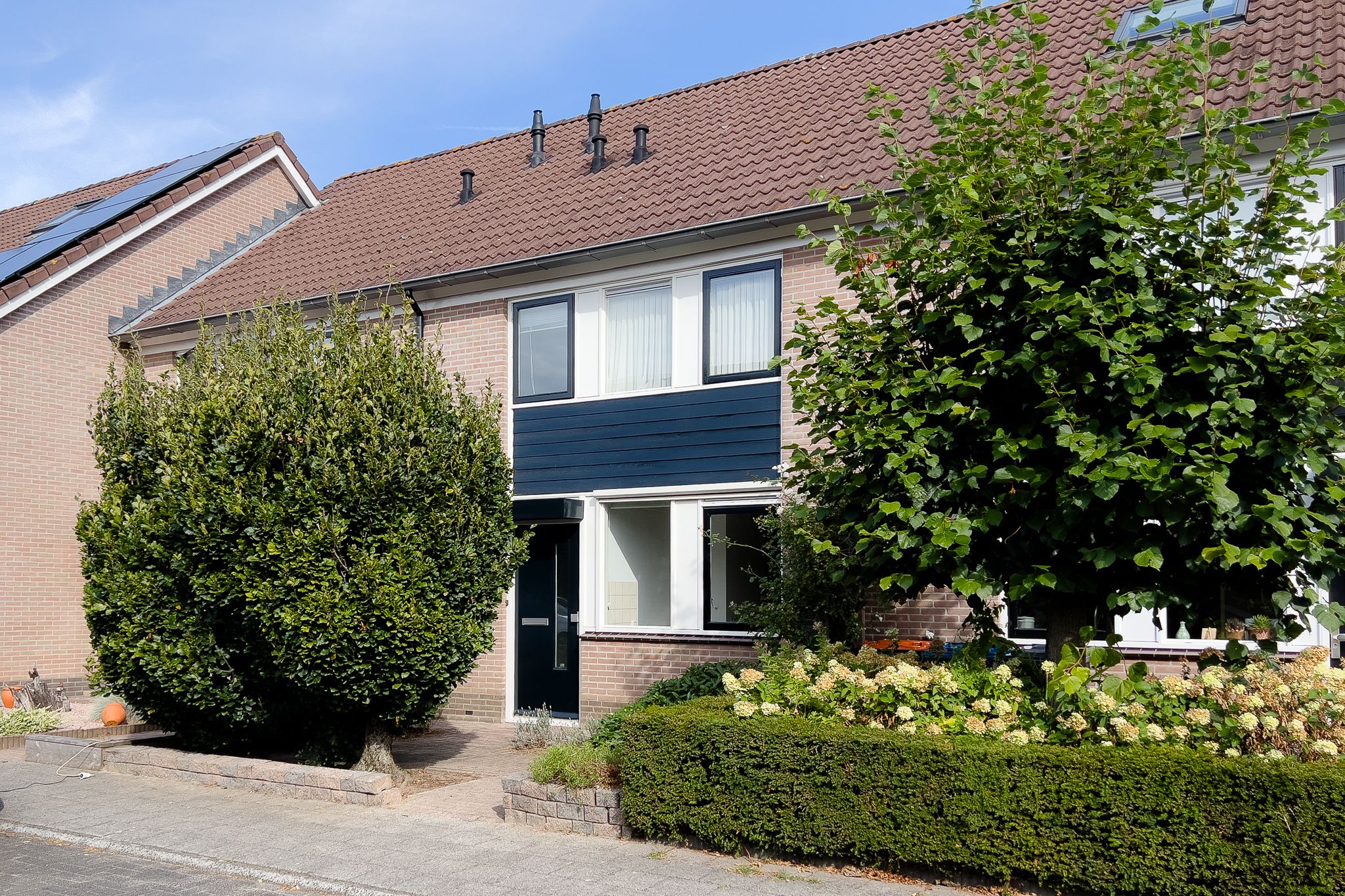 Bijenveld 15 