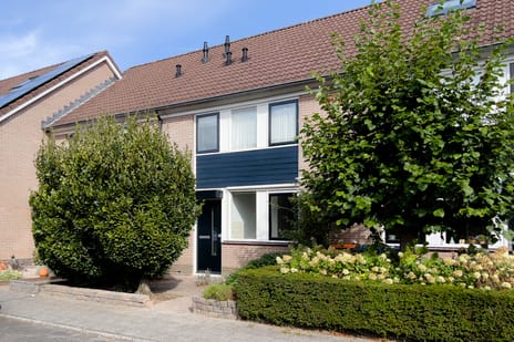 Bijenveld thumbnail