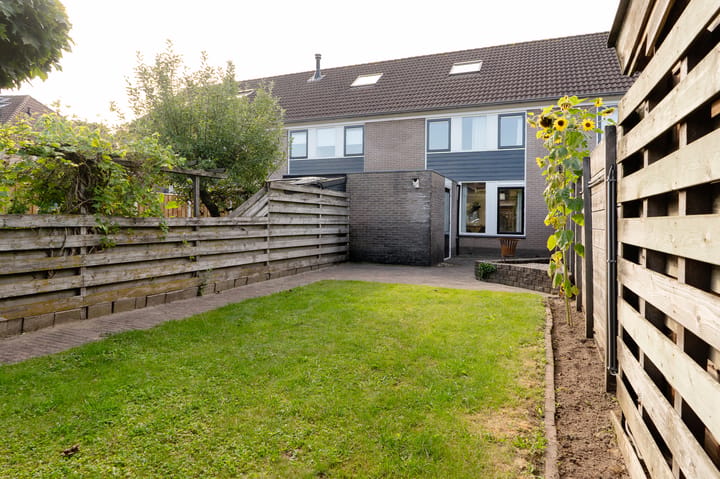 Foto 5 van Bijenveld 15