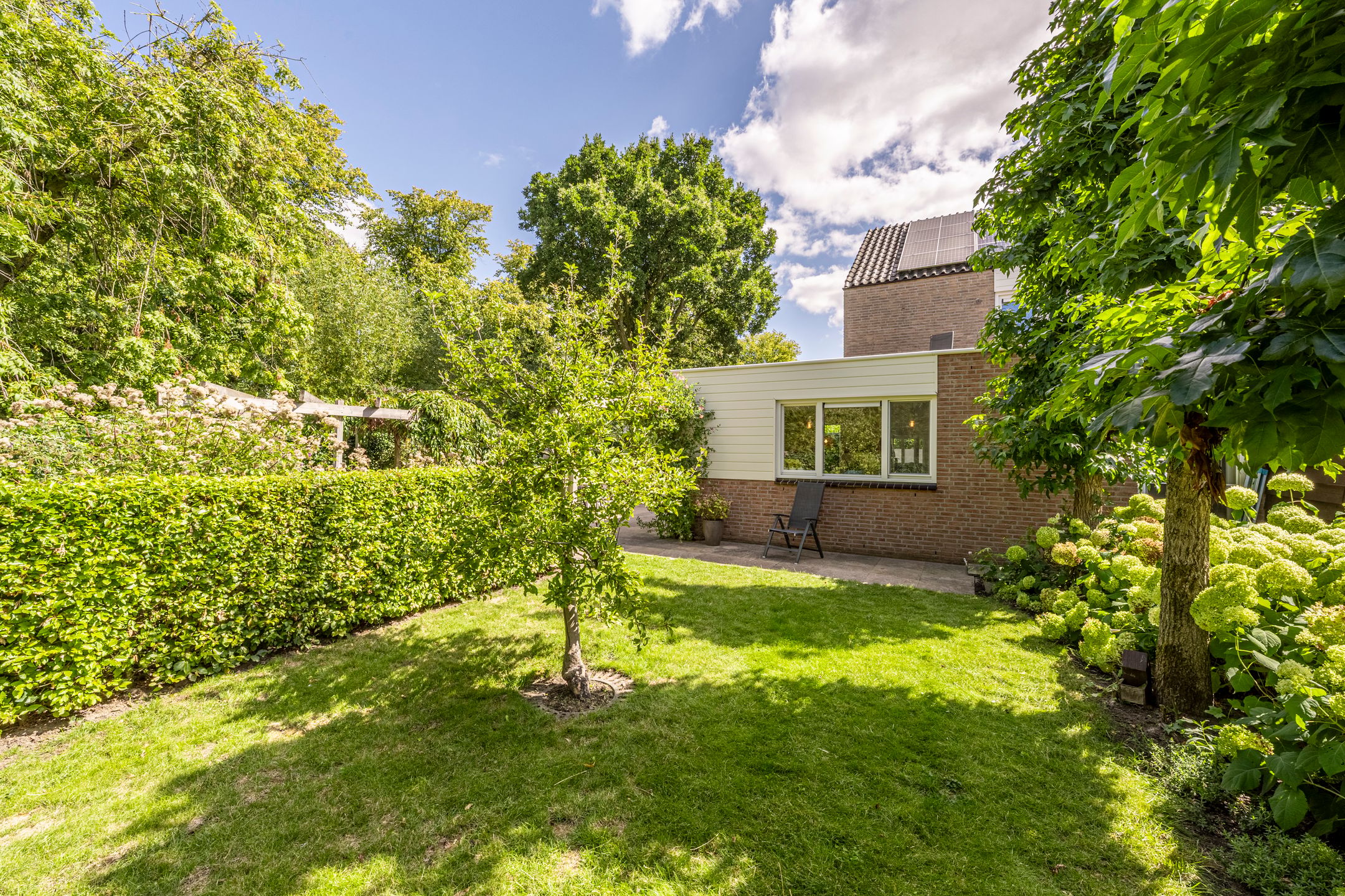 Photo 54 of Terborchdreef 22