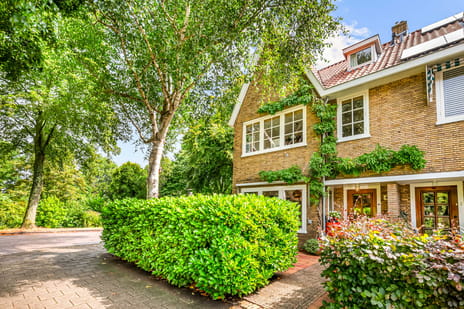 Van Dortstraat thumbnail