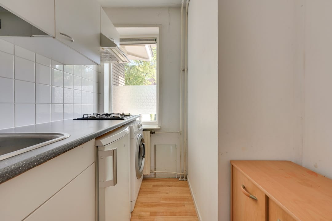 Photo 43 of Constant Erzeijstraat 59