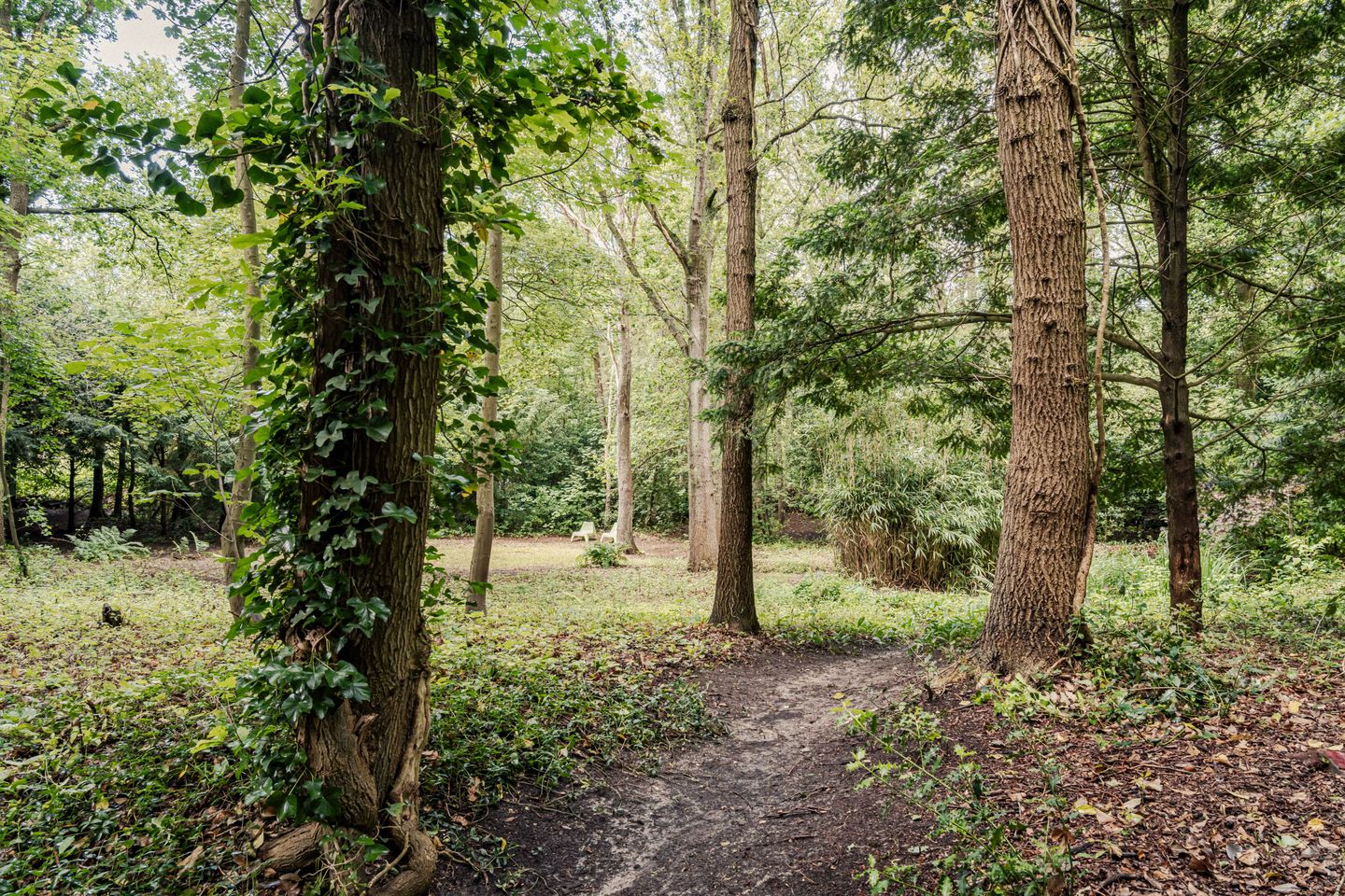 Photo 34 of Bovenweg 12
