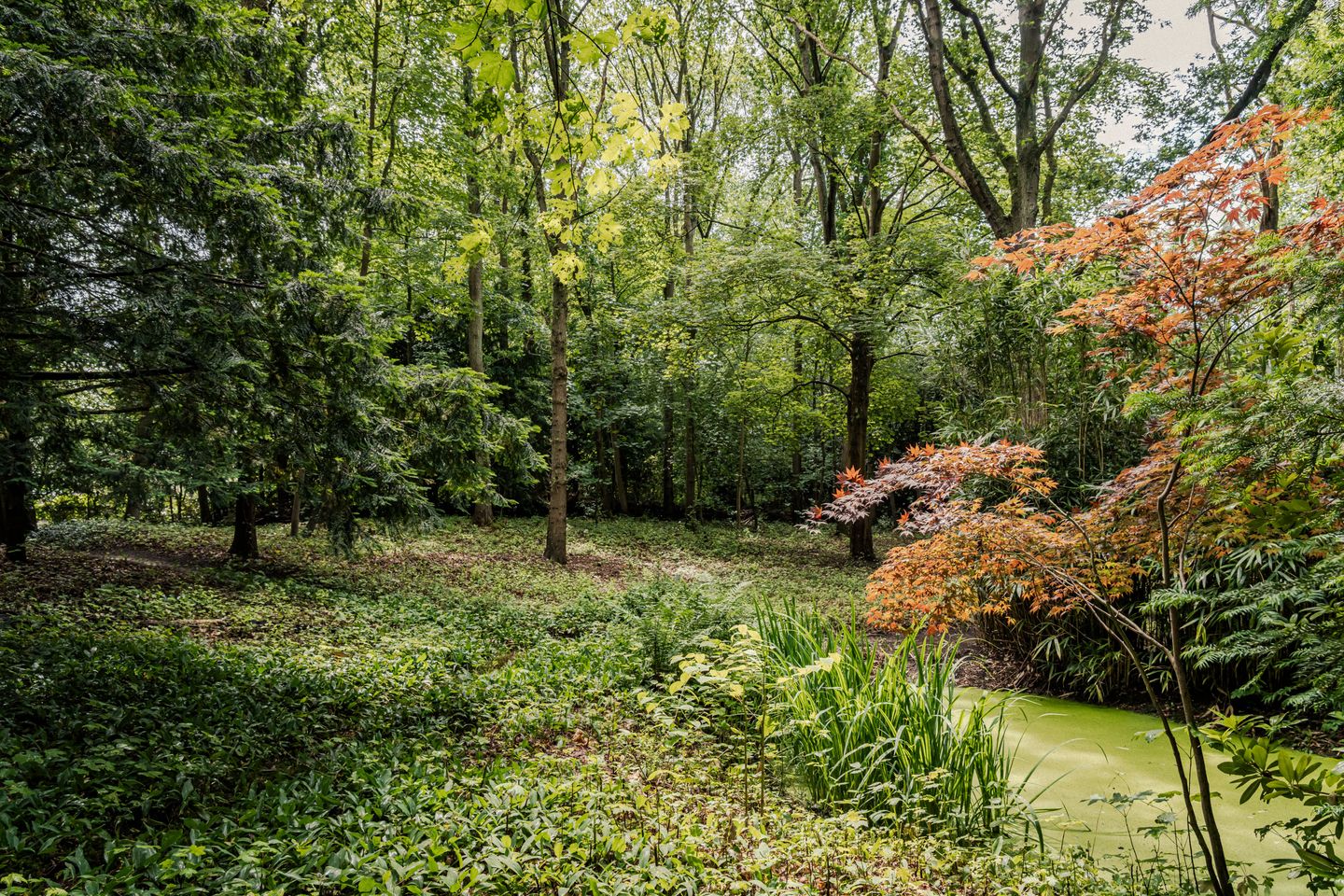 Photo 4 of Bovenweg 12