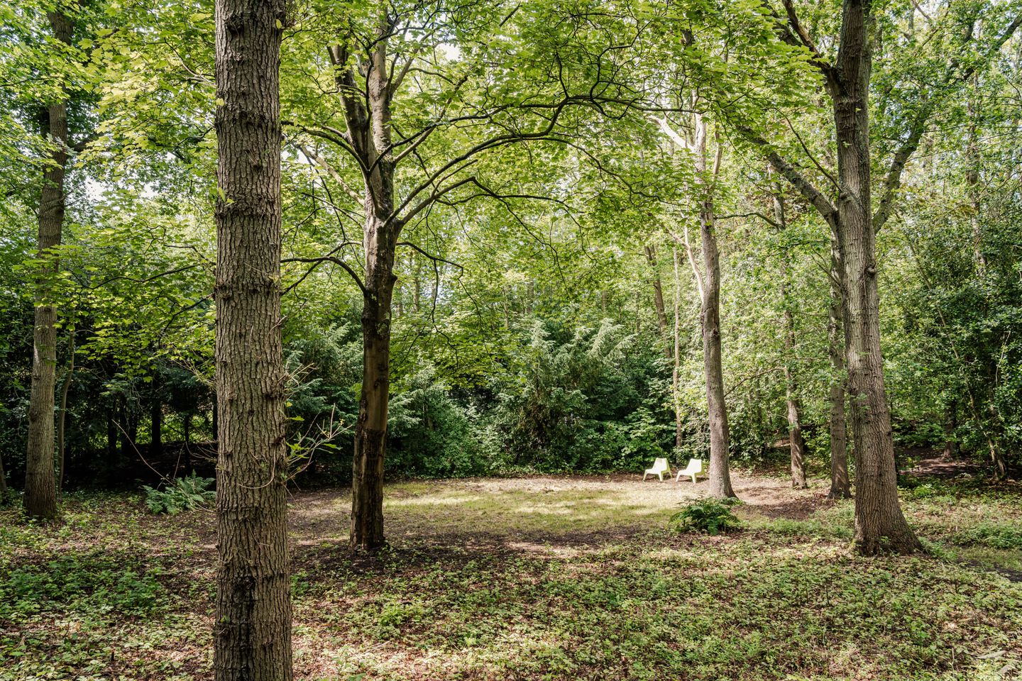 Photo 35 of Bovenweg 12