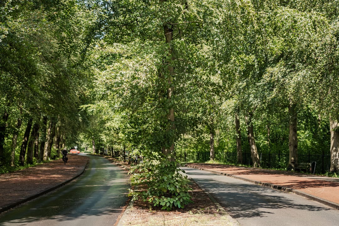 Photo 73 of Bovenweg 12