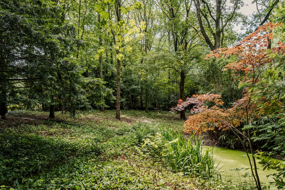Photo 38 of Bovenweg 12