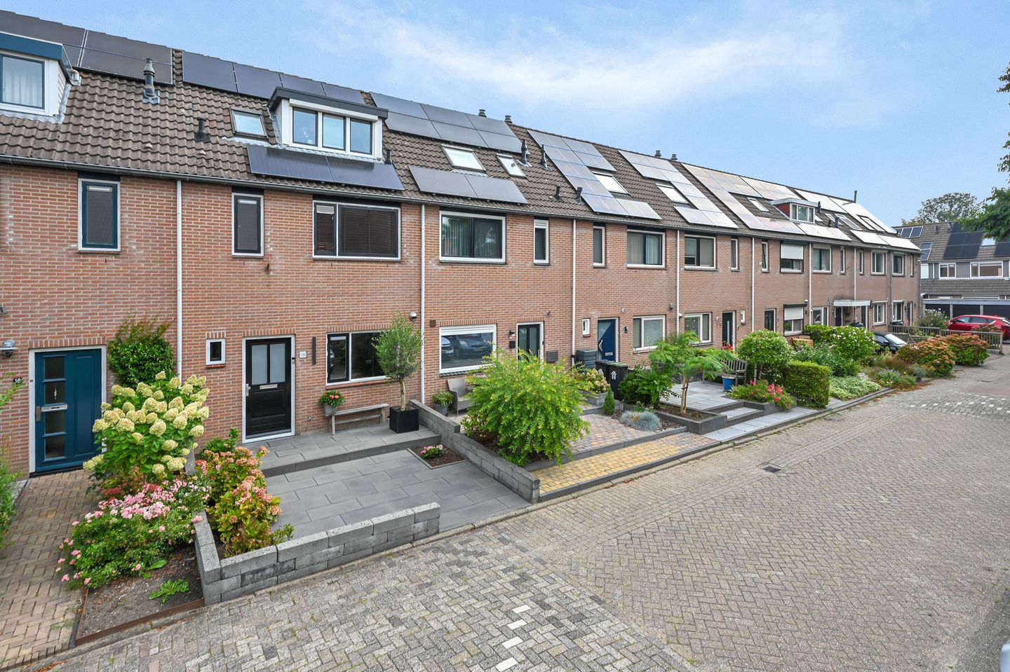 Foto 1 van Zwaan 16