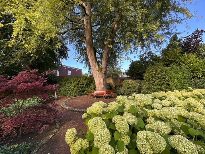 Appartement te koop: Dommelseweg 33D, Valkenswaard