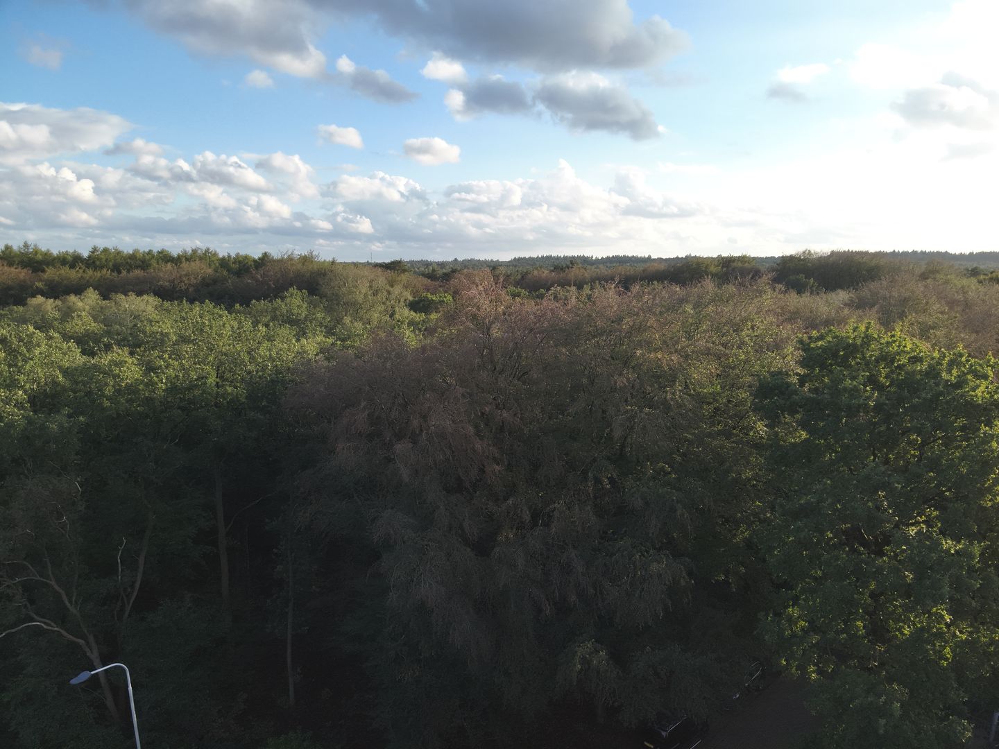 Bekijk foto 2 van Paleisweg