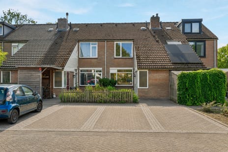 Potsmaat thumbnail