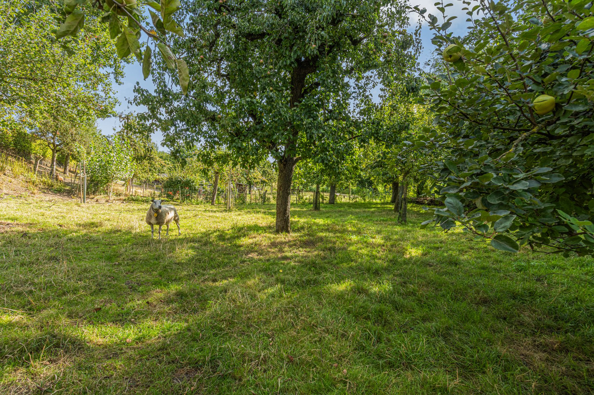 Photo 81 of Lingedijk 122