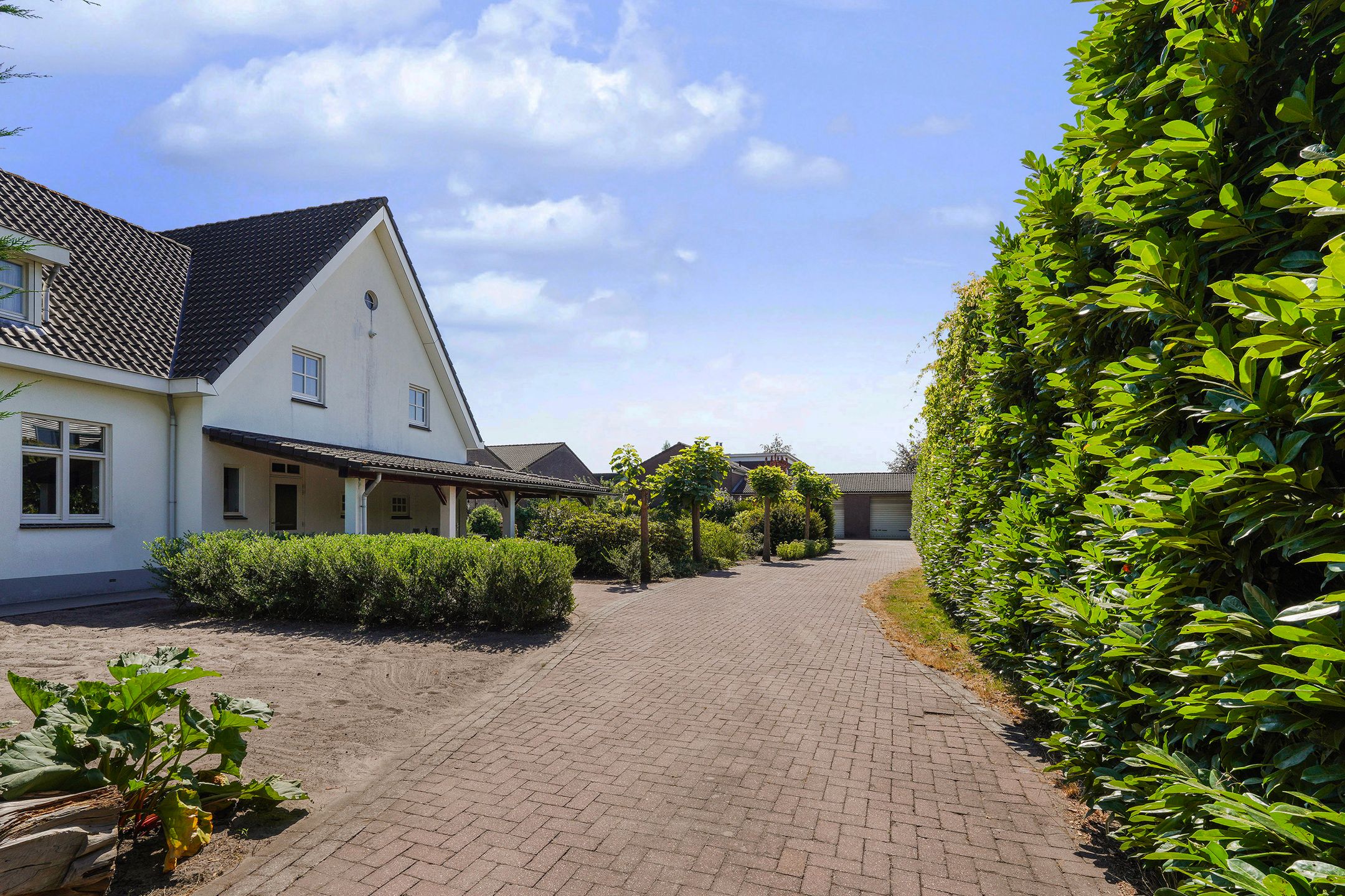 Photo 42 of Wilgenweg 3