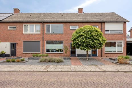 Anjerstraat thumbnail