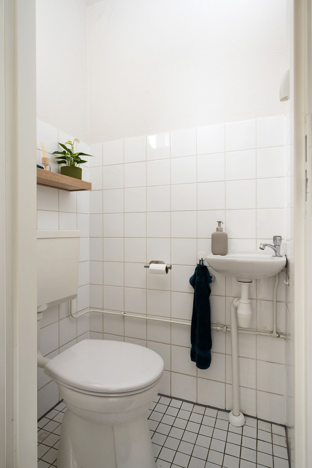Photo 31 of Frida Katz-erf 76