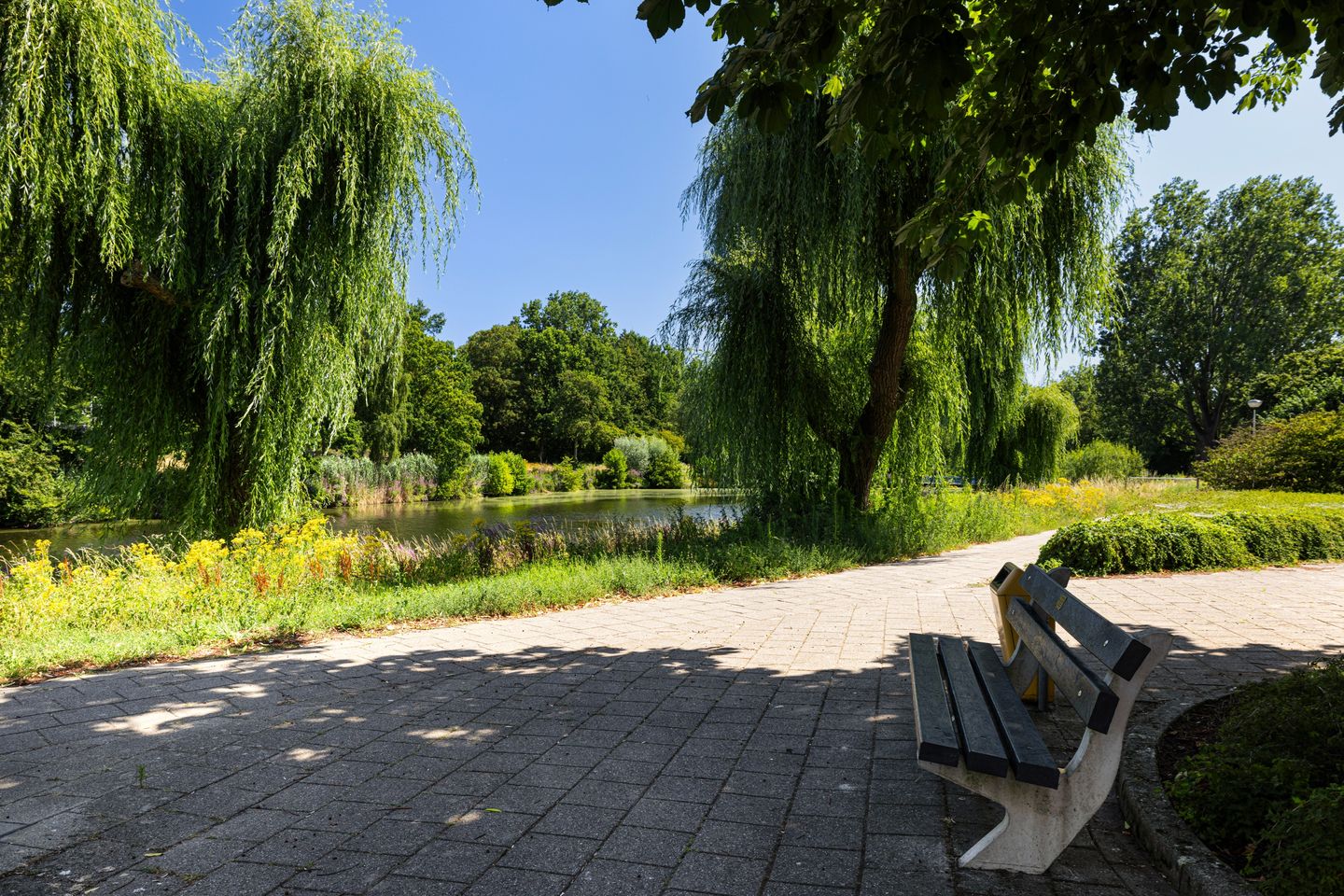 Foto 40 van Prof. Schermerhornpark 94
