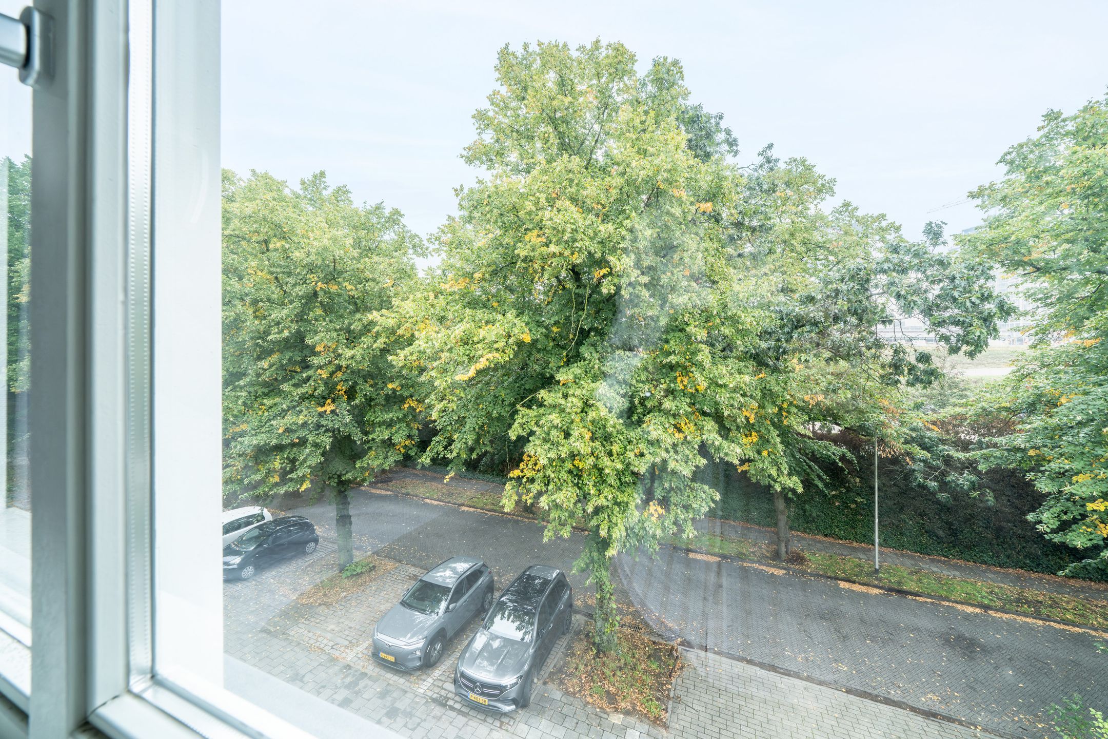 Foto 15 van Eerste Oude Heselaan 170