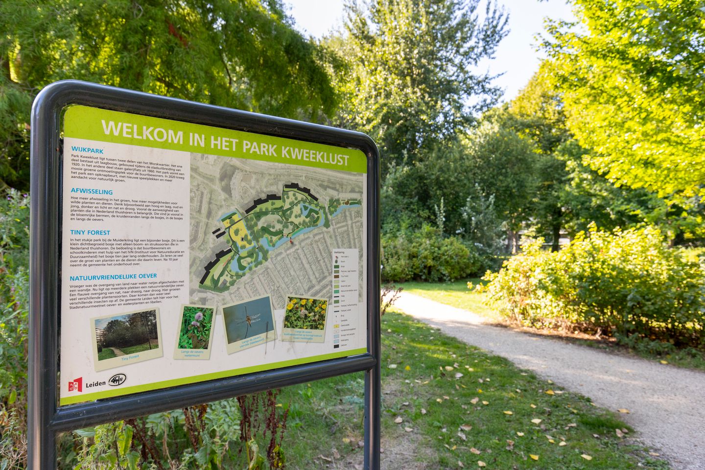 Photo 35 of Coornhertstraat 10