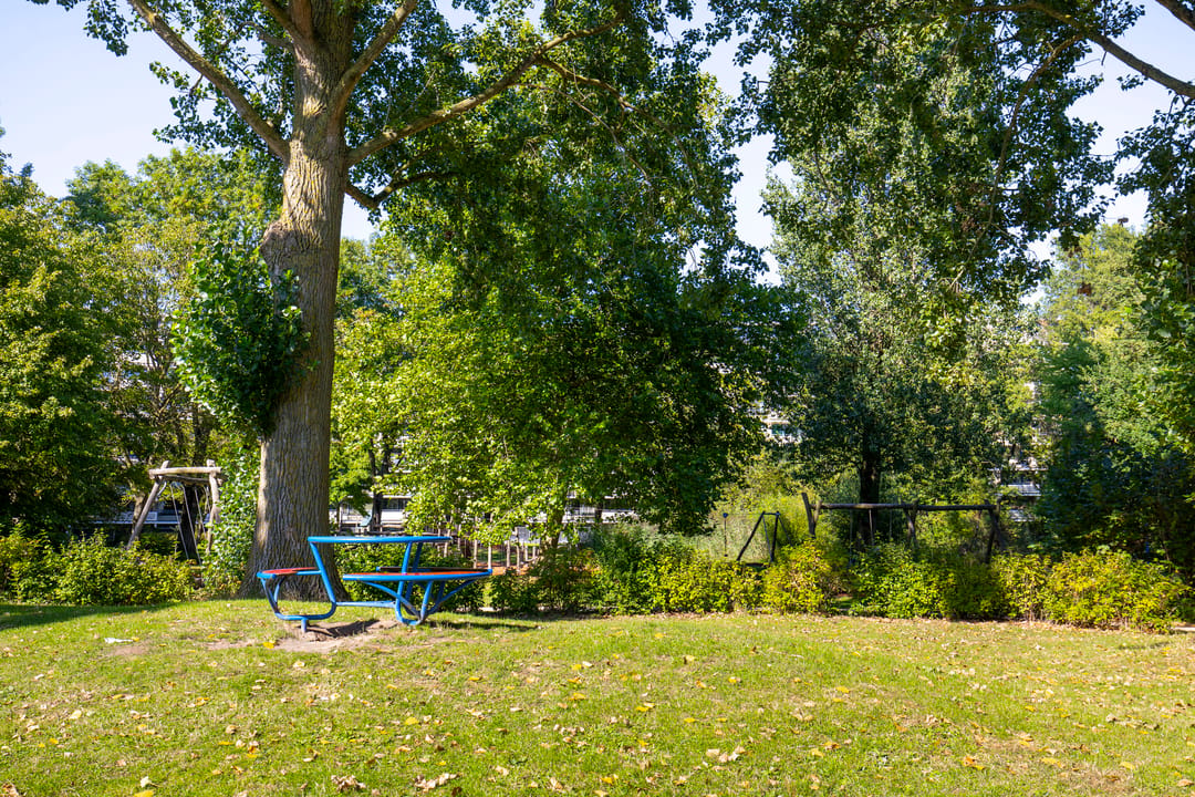 Photo 38 of Coornhertstraat 10