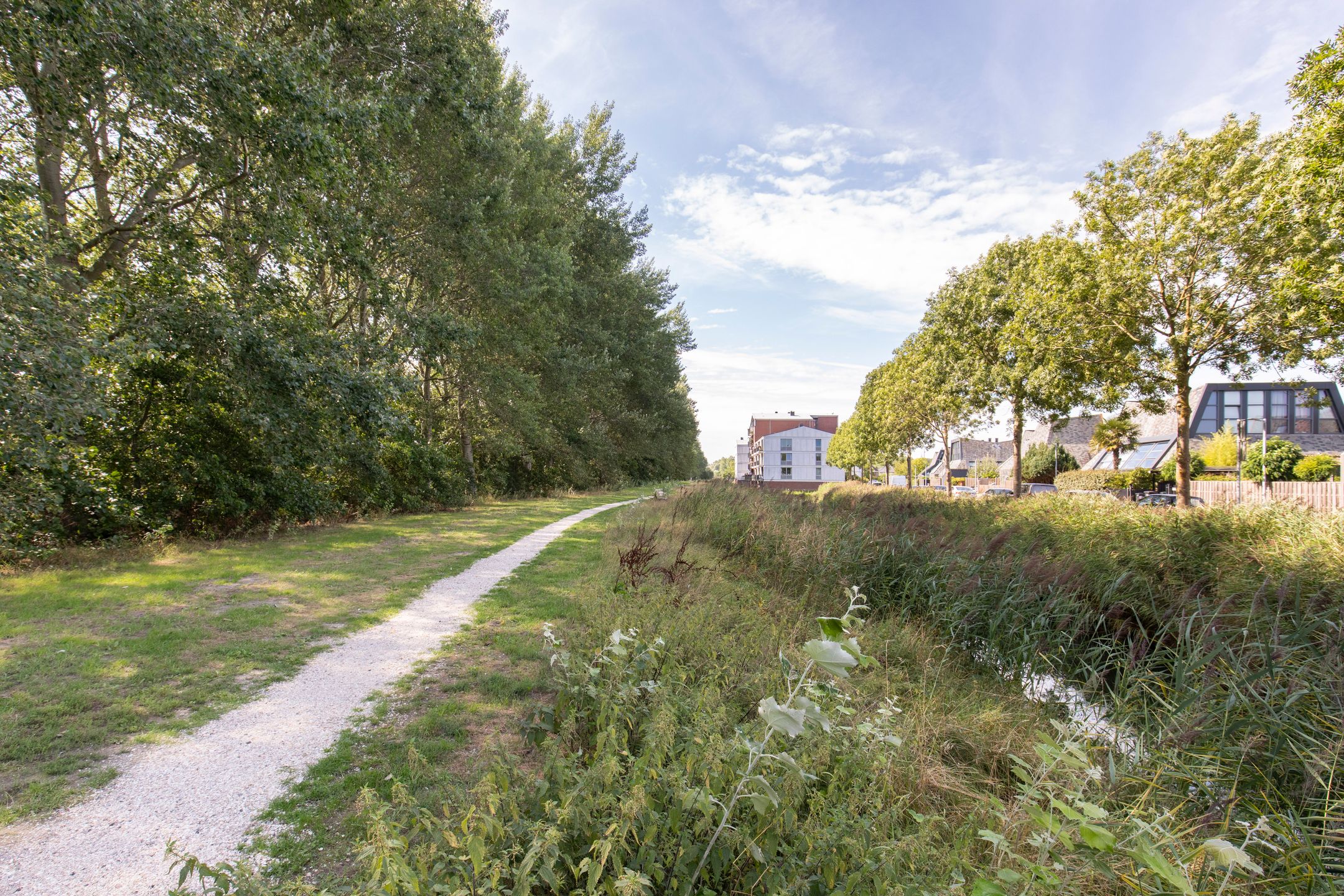 Photo 30 of Palissade 28