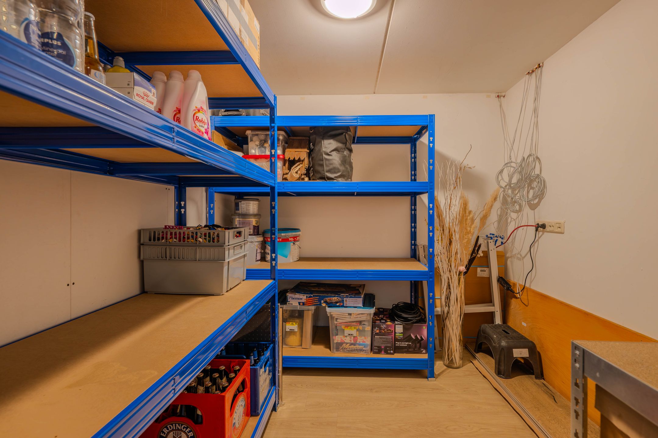 Foto 48 van Boomvalk 49