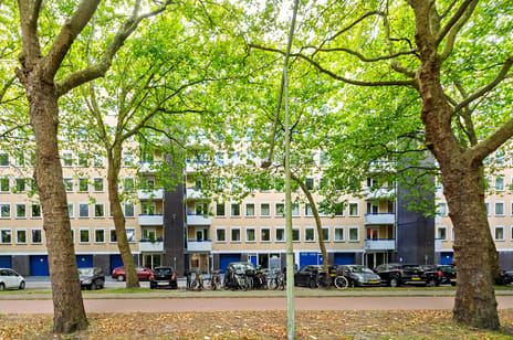 Van Nijenrodeweg thumbnail