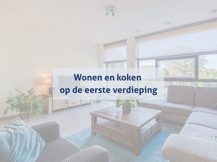 Foto 4 van Zwaluw 11