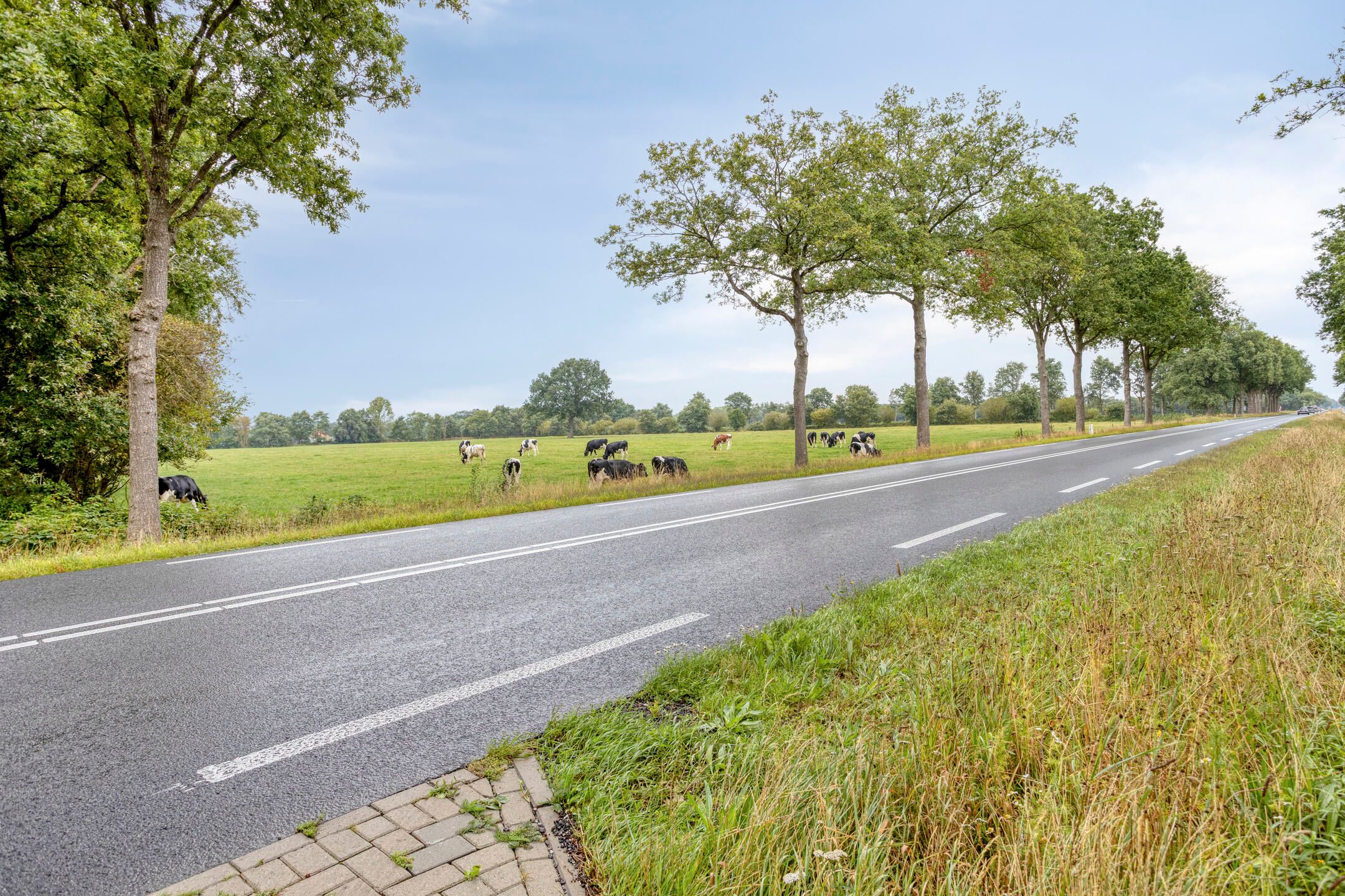 Photo 27 of Stellingenweg 4