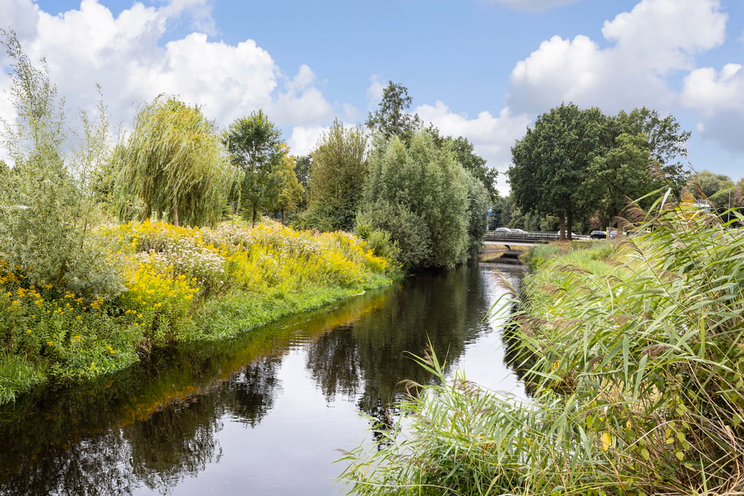 Photo 47 of Buitensingel 31