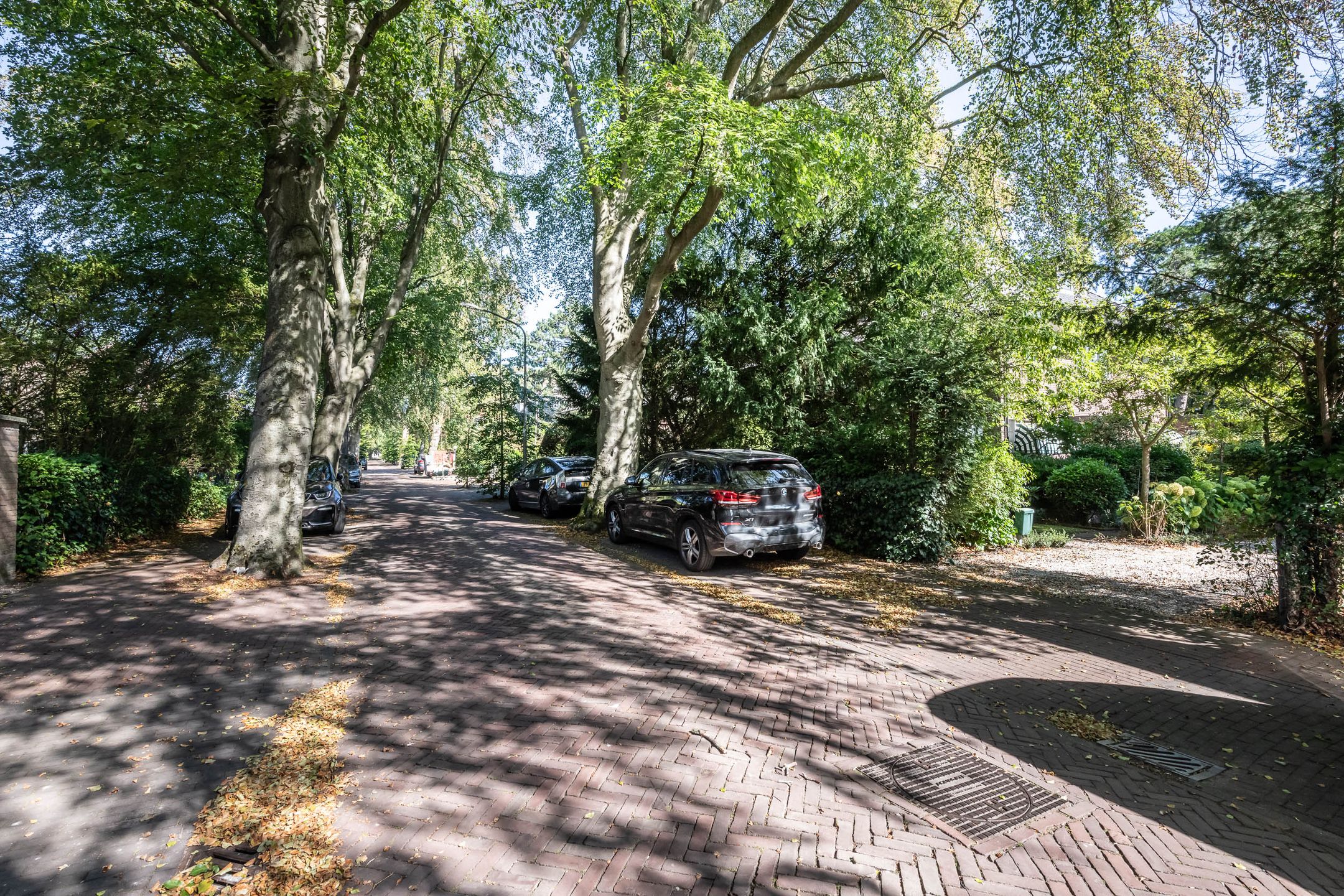 Foto 45 van Sparrenlaan 25
