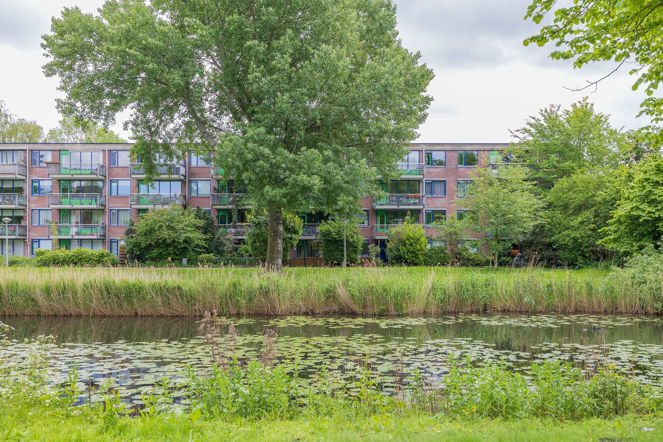 Catharina Boudewijnshof 61 