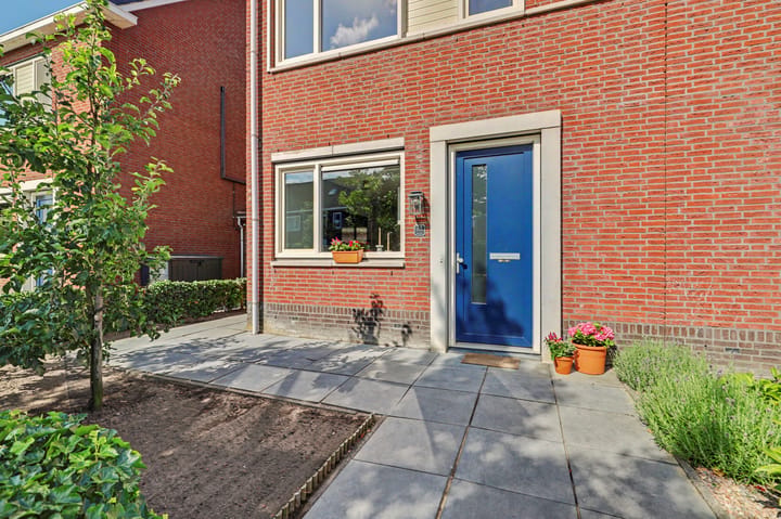 Foto 4 van Aardbeivlinder 78