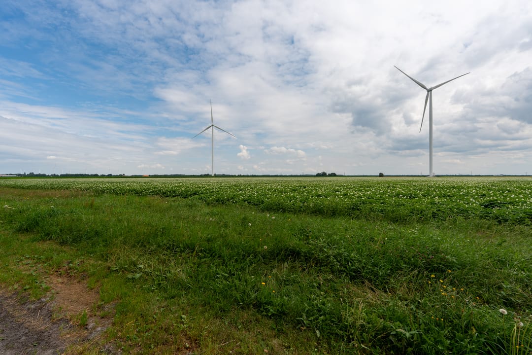 Photo 38 of Vosseveld 4