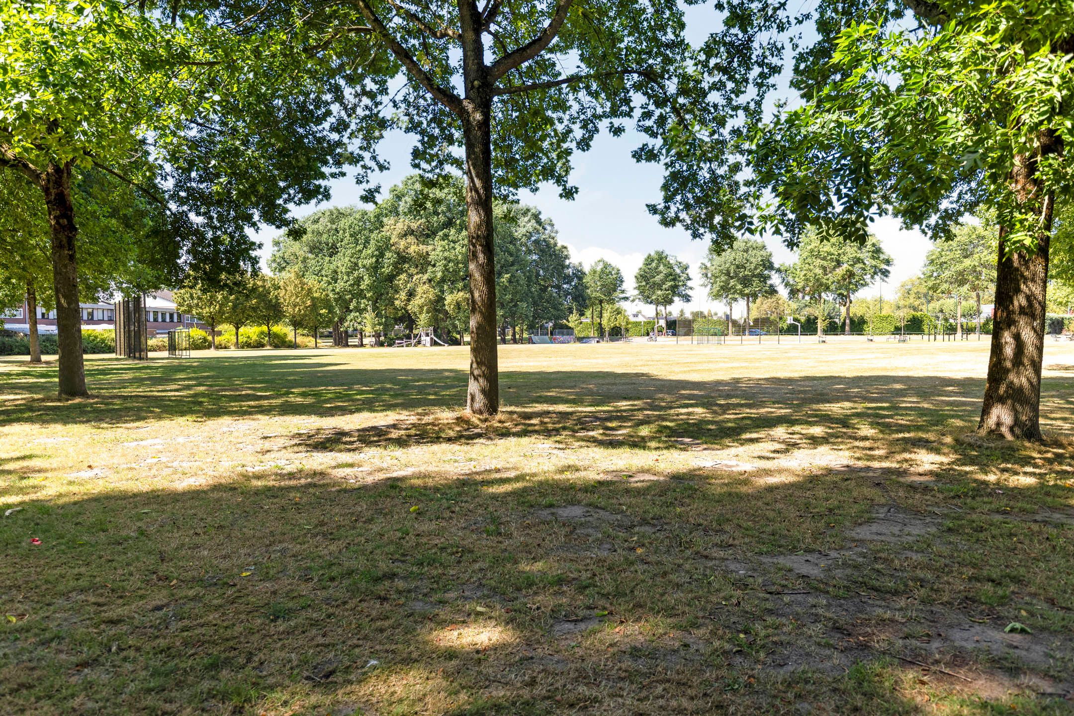 Foto 48 van Nieuwhuis 8