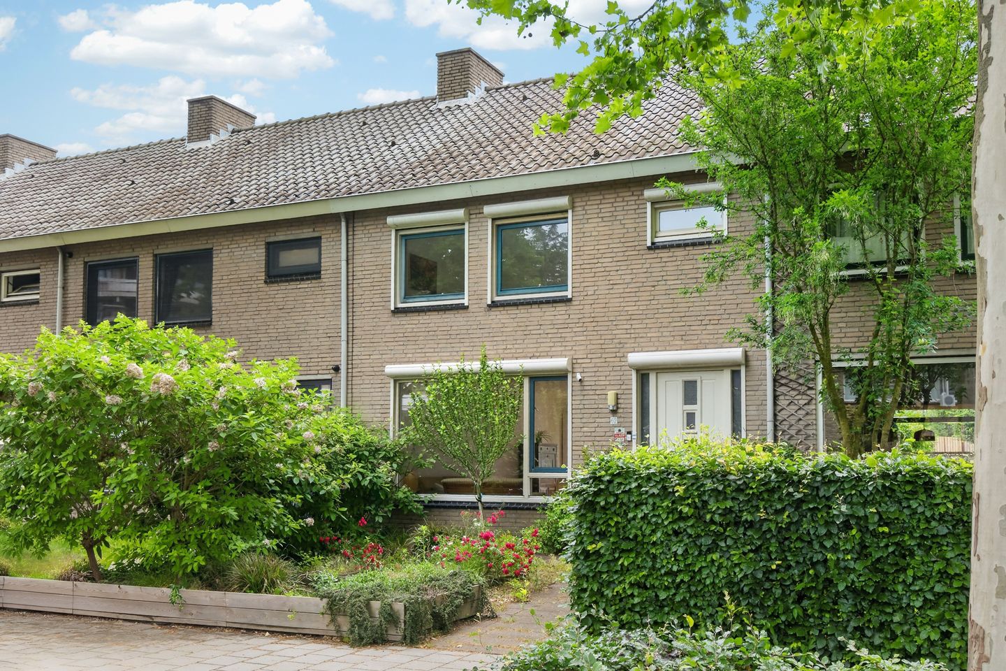 Foto 44 van de Koppele 62