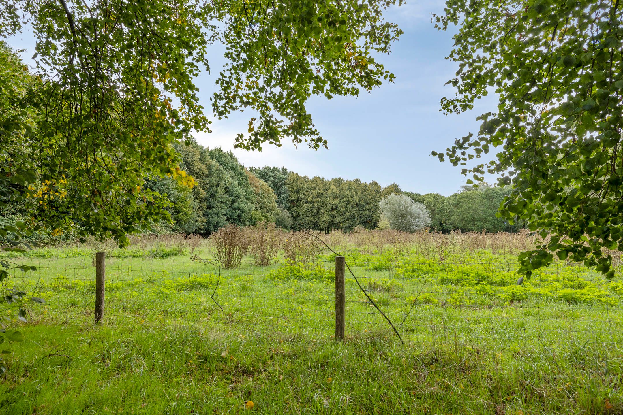 Photo 33 of Meierij 3
