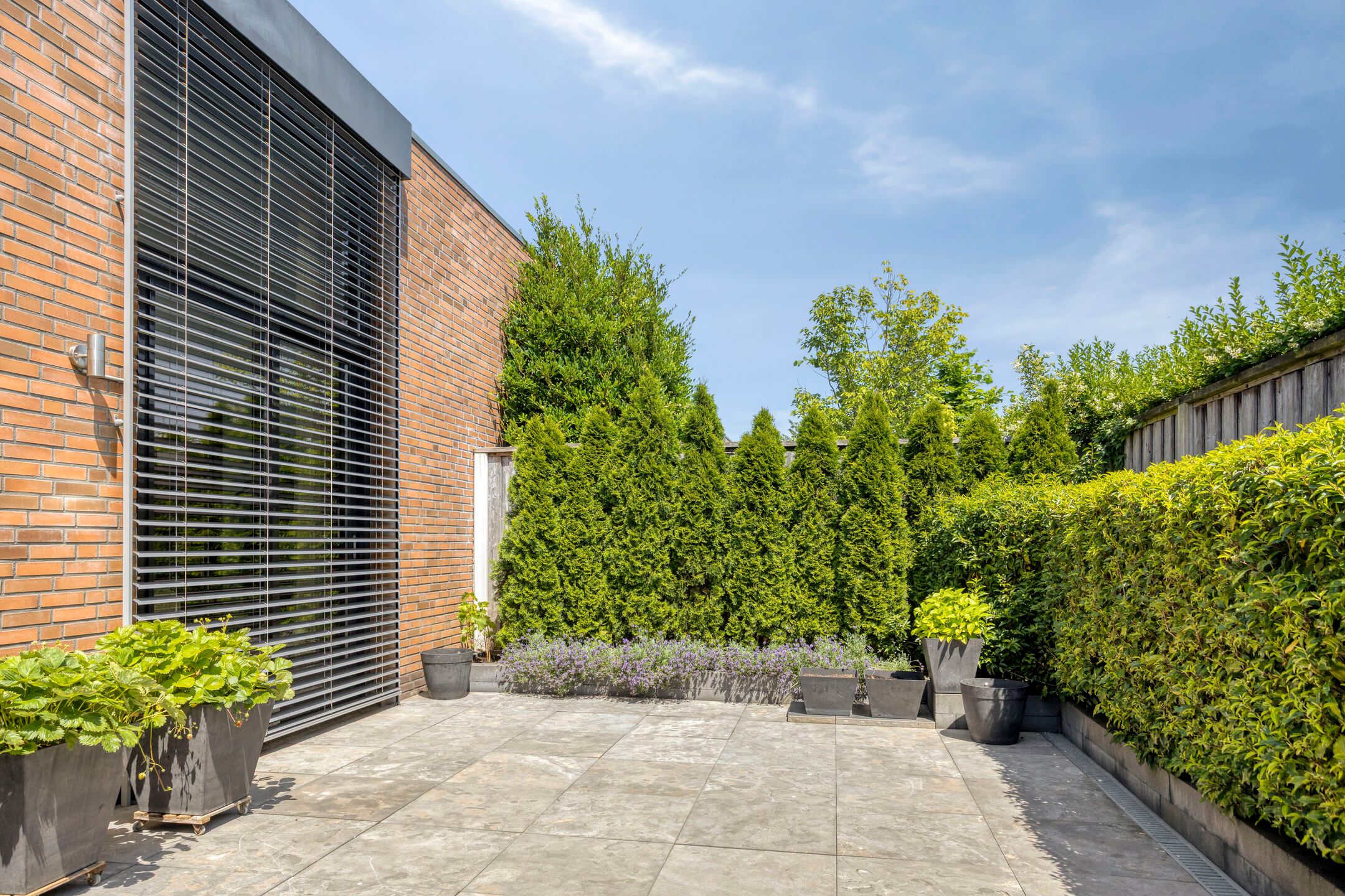 Foto 42 van Maïsberg 15