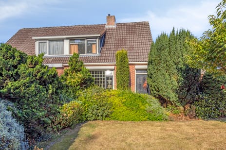Hillegondastraat thumbnail