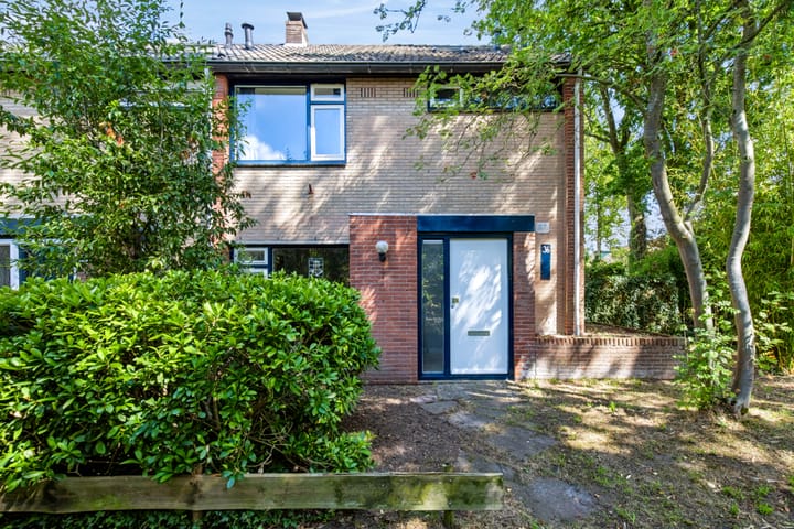 Foto 2 van Kalmoesstraat 36