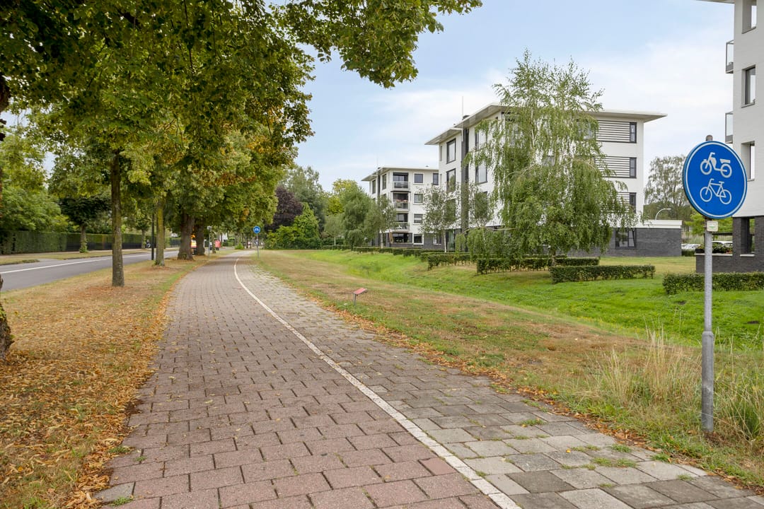Foto 43 van P.C. Borstlaan 114