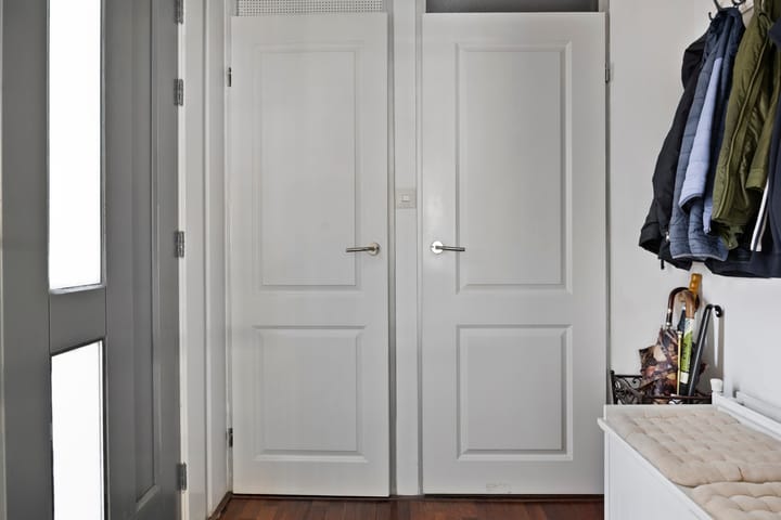 Foto 4 van Kogeldistel 41
