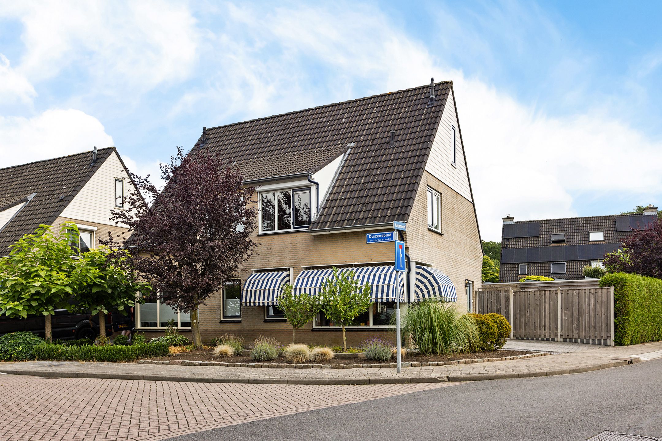 Duizendblad 2