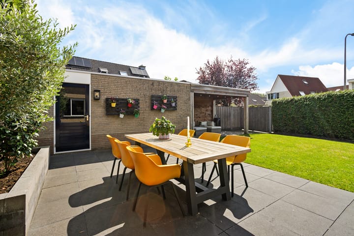 Foto 4 van Duizendblad 2