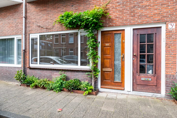 Foto 3 van Gedempte Schalk Burgergracht 3-D