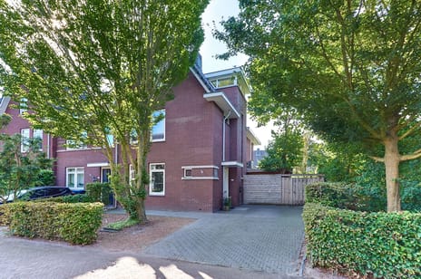 Struikbergerhout thumbnail