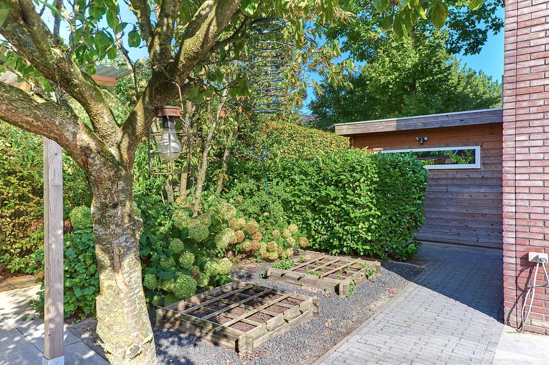 Foto 43 van Struikbergerhout 19