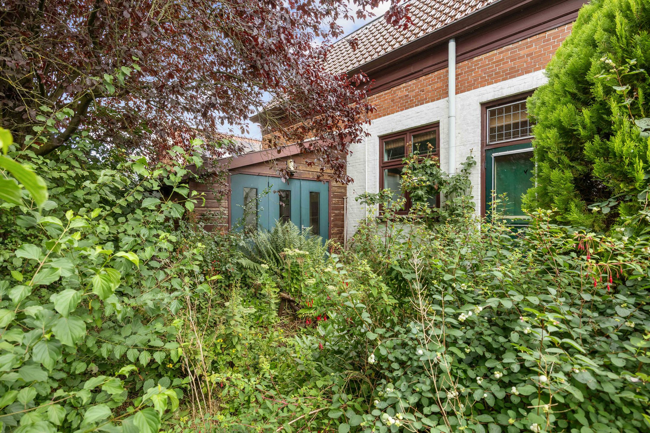 Photo 63 of Boterdiep Wz 62